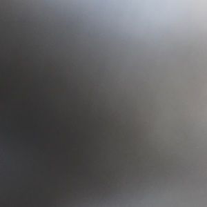 Meet your Posher, Lily